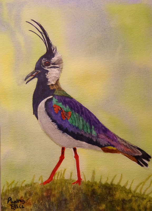 Art Club painting